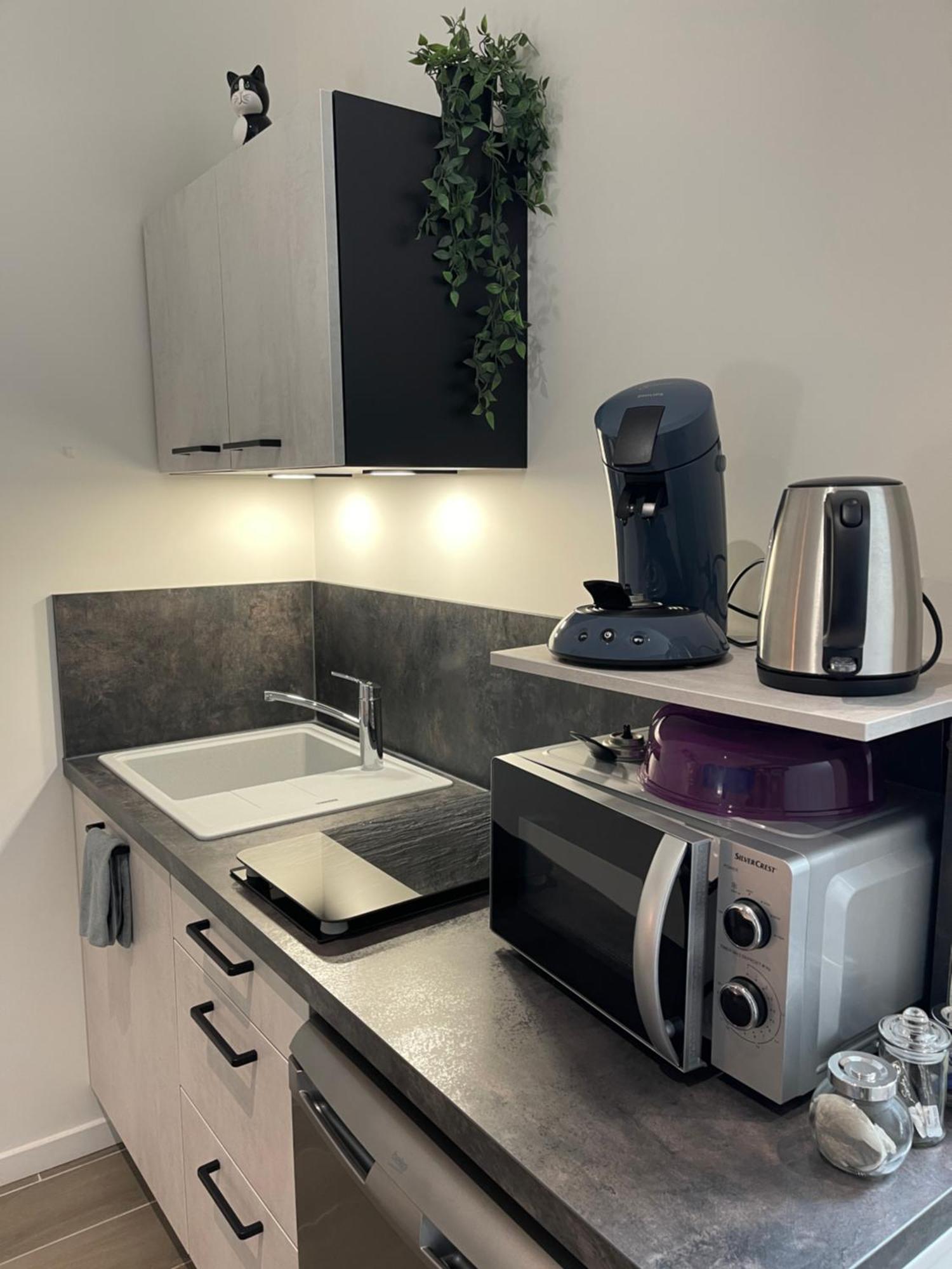 Nuitzen Apartment Boyer Bagian luar foto